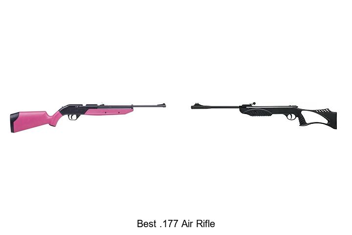 Top 12 Best .177 Air Rifle That Will Blow Your Mind