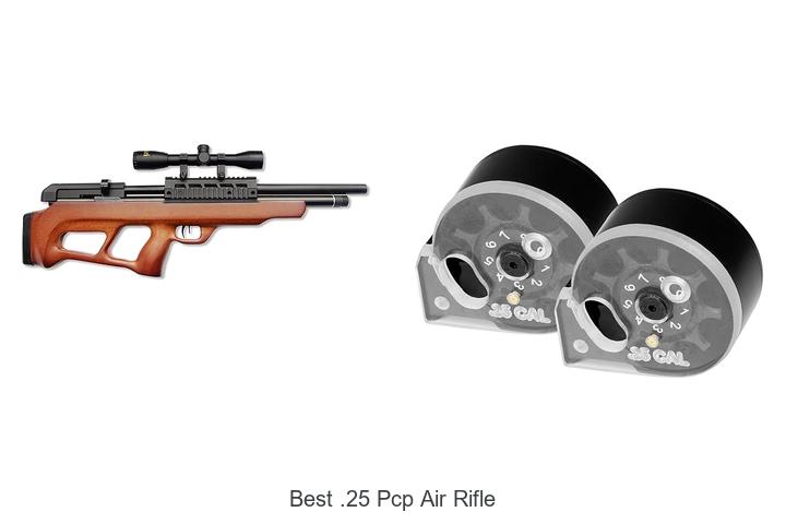 Top 12 Best .25 PCP Air Rifle That Will Blow Your Mind!