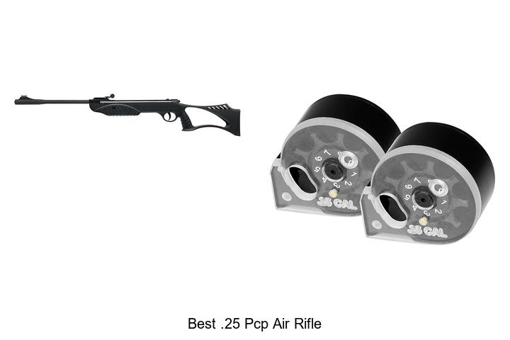 Top 12 Best .25 PCP Air Rifle Deals You Can’t Miss!