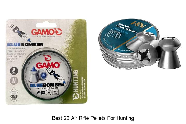 Top 12 Best 22 Air Rifle Pellets For Hunting You Need Now