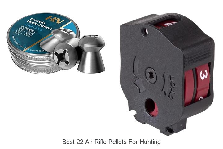 Top 12 Best 22 Air Rifle Pellets for Hunting That Win Big