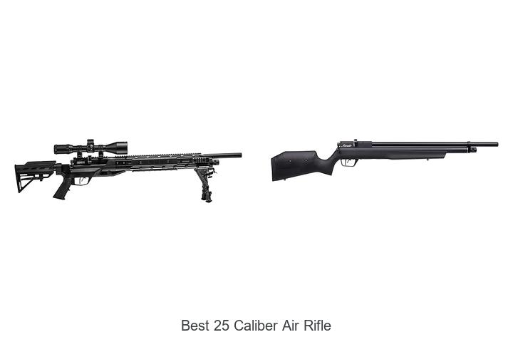 Top 12 Best 25 Caliber Air Rifle That Will Shock You!