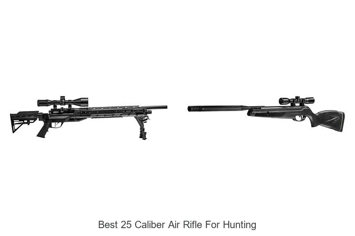 Top 12 Best 25 Caliber Air Rifle For Hunting You Need Now