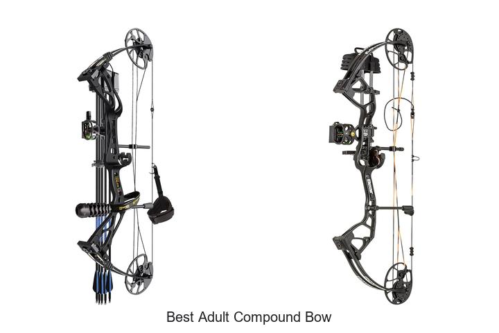 Top 12 Best Adult Compound Bow That Will Change Your Game