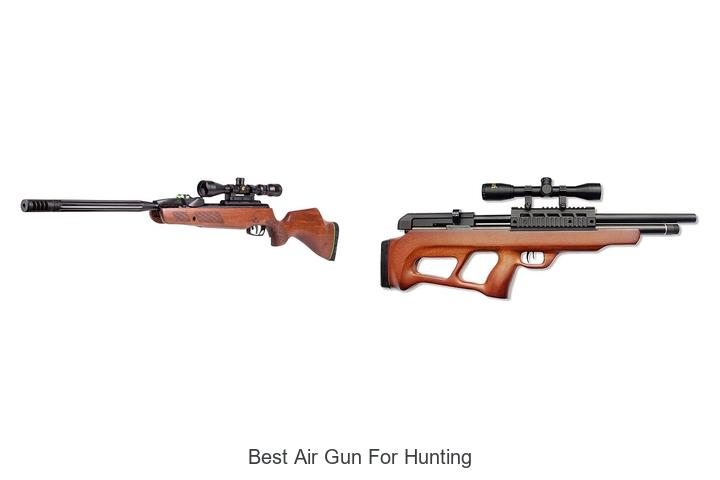 Top 12 Best Air Gun For Hunting That Will Blow Your Mind