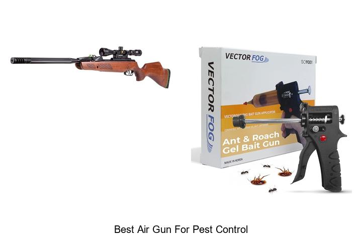 Top 12 Best Air Gun For Pest Control You Must Try Today!