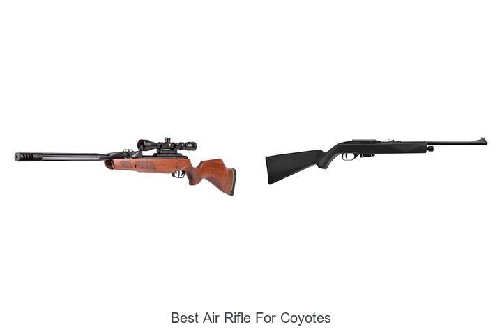Top 12 Best Air Rifle for Coyotes That Shock Hunters