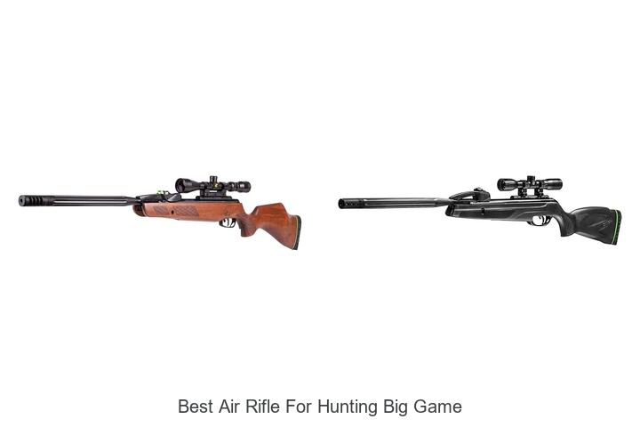 Top 12 Best Air Rifle for Hunting Big Game You Need Now