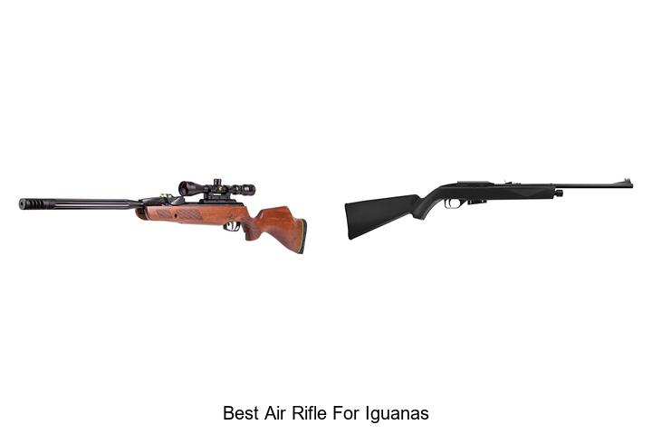 Top 12 Best Air Rifle for Iguanas You Can’t Miss Today