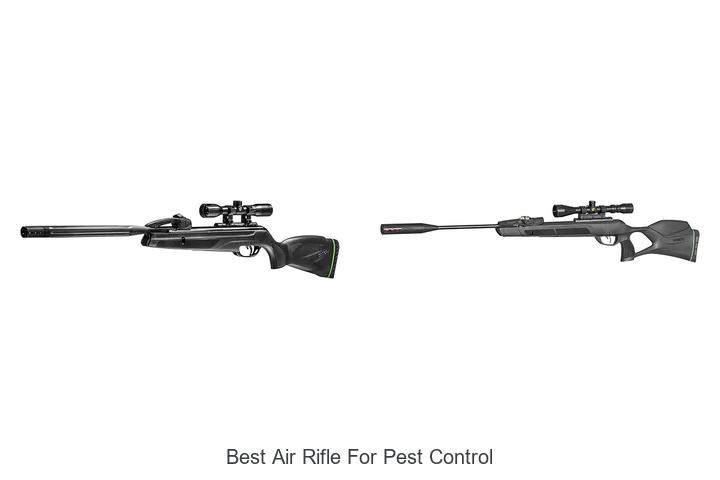 Top 12 Best Air Rifle for Pest Control That Experts Love