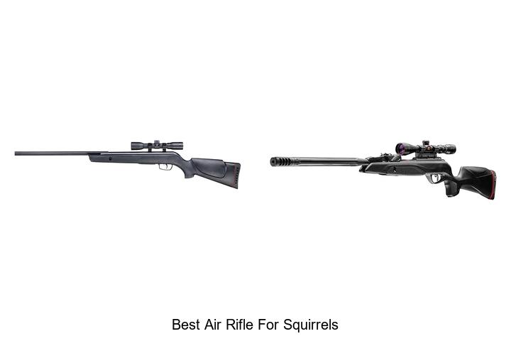 Top 12 Best Air Rifle for Squirrels That Hunters Swear By