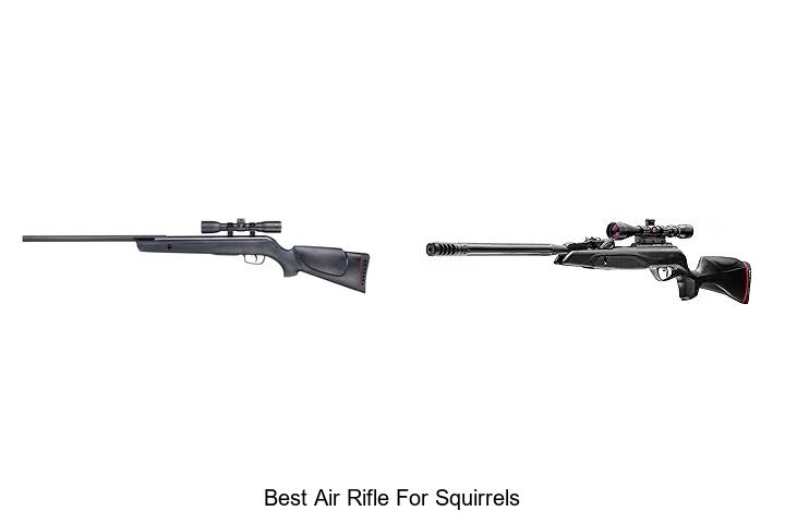 Top 12 Best Air Rifle For Squirrels That Hunters Love
