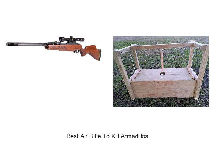 Top 12 Best Air Rifle to Kill Armadillos – Shocking Power!