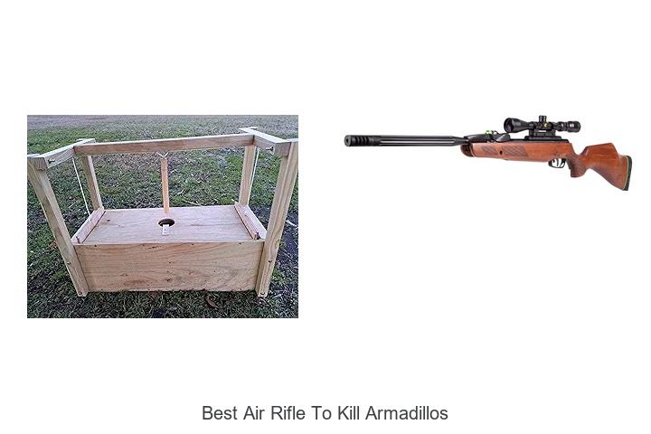 Top 12 Best Air Rifle to Kill Armadillos You Can’t Miss!