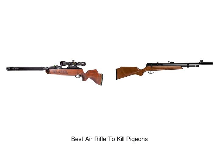 Top 12 Best Air Rifle to Kill Pigeons You Can’t Miss!