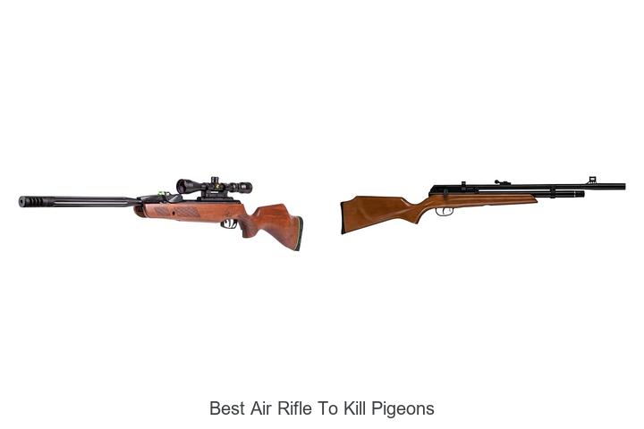 Top 12 Best Air Rifle to Kill Pigeons You Need Now