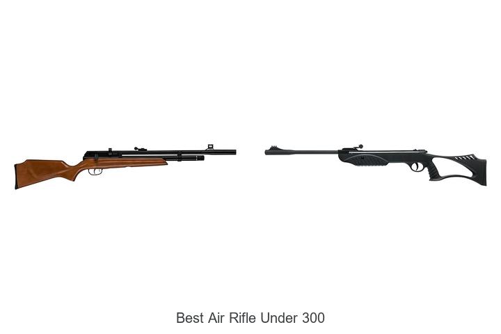 Top 12 Best Air Rifle Under 300 That Will Blow Your Mind