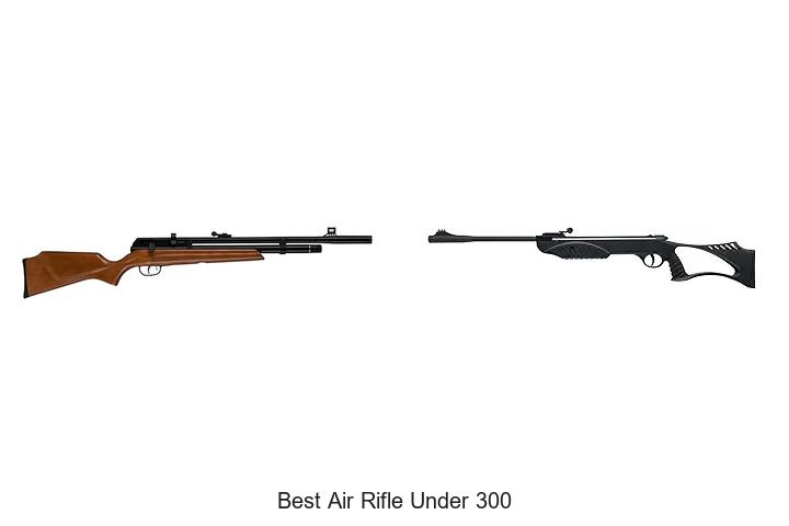 Top 12 Best Air Rifle Under 300 – Unbelievable Power!