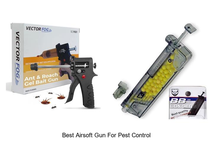 Top 12 Best Airsoft Gun for Pest Control You Need Now