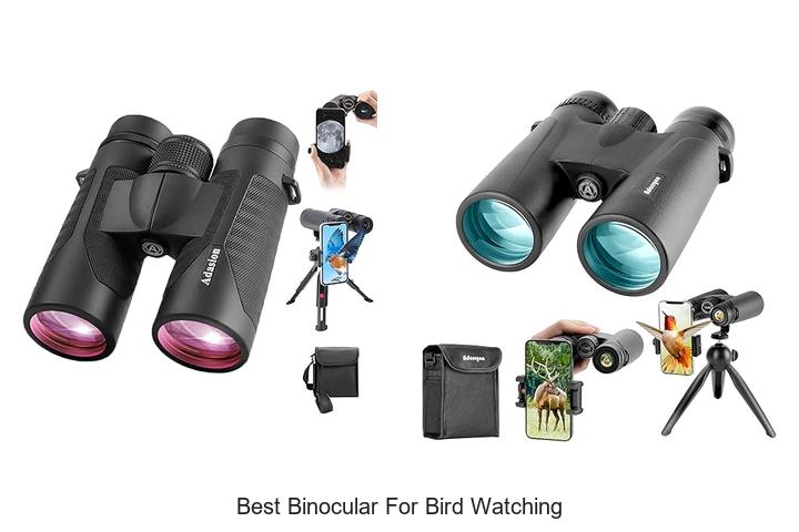 Top 12 Best Binocular For Bird Watching You Can’t Miss!