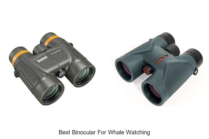 Top 12 Best Binocular for Whale Watching You Can’t Miss