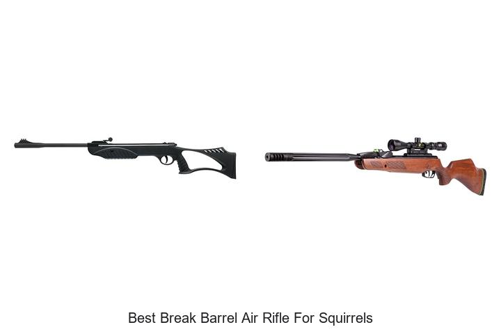 Top 12 Best Break Barrel Air Rifle for Squirrels That Work!