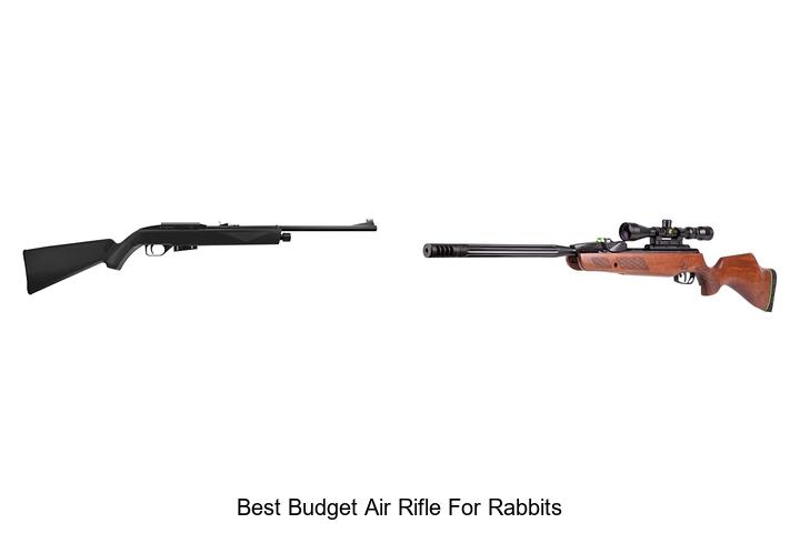 Top 12 Best Budget Air Rifle for Rabbits You Can’t Miss