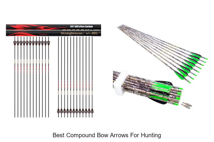 Top 12 Best Compound Bow Arrows for Hunting Revealed!