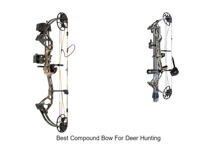 Top 12 Best Compound Bow for Deer Hunting That Dominate