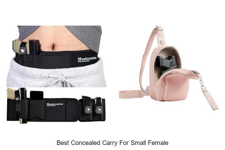 Top 12 Best Concealed Carry for Small Female That Shock!