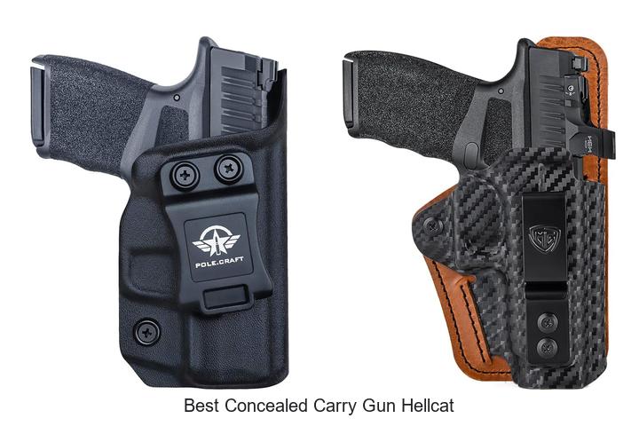 Top 12 Best Concealed Carry Gun Hellcat You Can’t Miss!