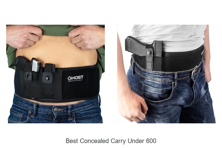 Top 12 Best Concealed Carry Under 600 You Can’t Miss