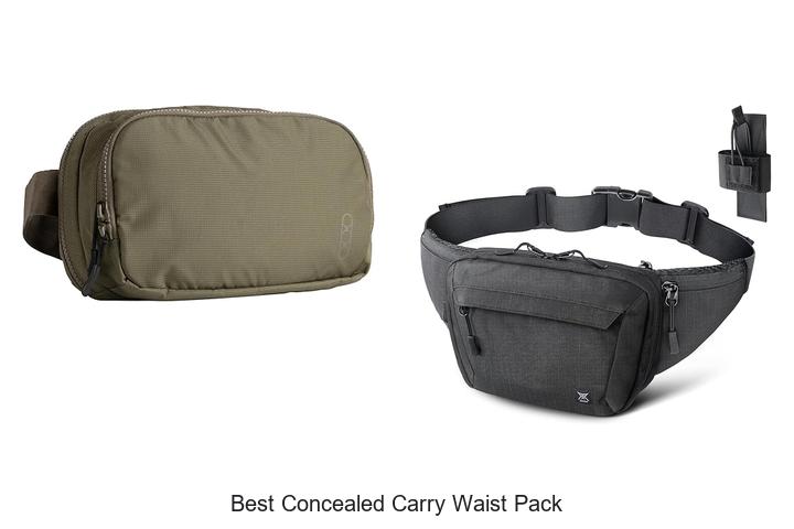 Top 12 Best Concealed Carry Waist Pack You Need Now