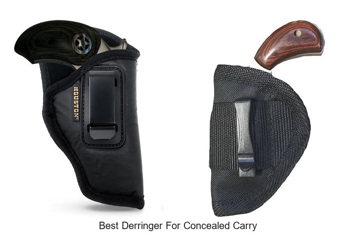 Top 12 Best Derringer for Concealed Carry You Can Trust