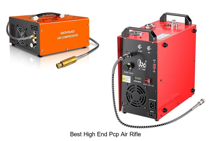 Top 12 Best High End PCP Air Rifle Picks That Shock Experts