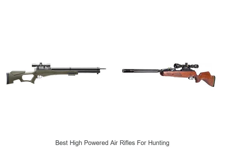 Top 12 Best High Powered Air Rifles for Hunting Revealed!