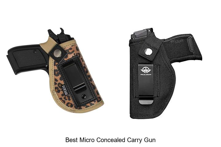 Top 12 Best Micro Concealed Carry Gun That Everyone Wants