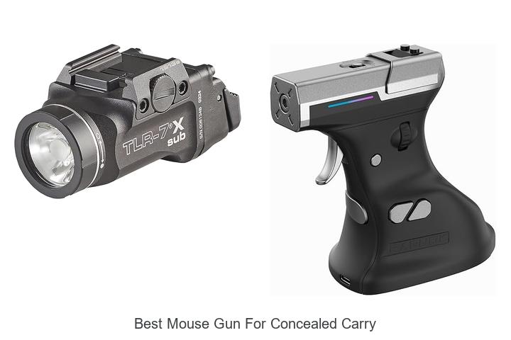 Top 12 Best Mouse Gun for Concealed Carry You Need Now