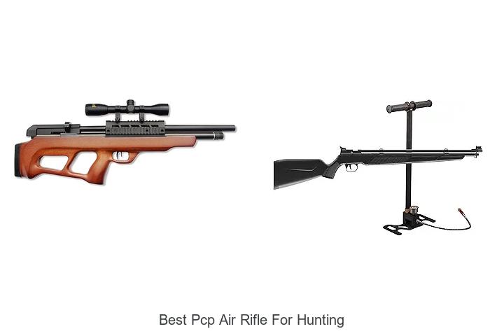 Top 12 Best PCP Air Rifle for Hunting You Must Own