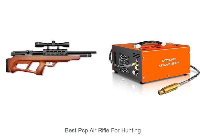 Top 12 Best PCP Air Rifle For Hunting You Can’t Miss
