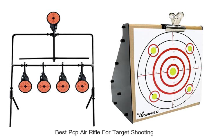 Top 12 Best PCP Air Rifle for Target Shooting Revealed!