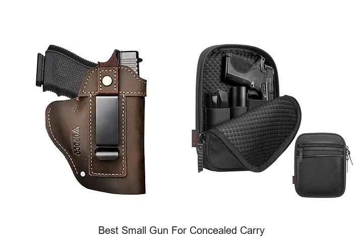 Top 12 Best Small Gun For Concealed Carry You Must See