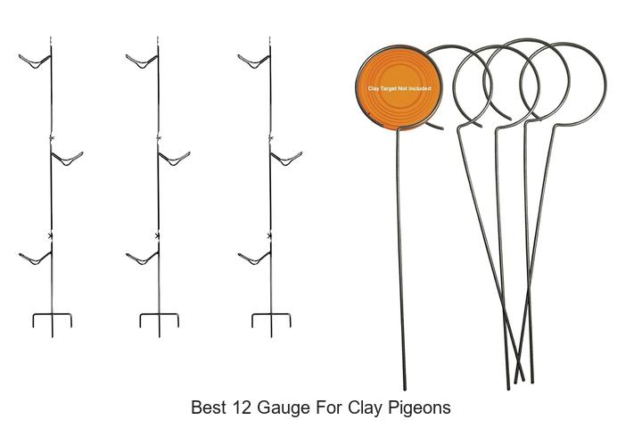 Top 10 Best 12 Gauge for Clay Pigeons You Can’t Miss