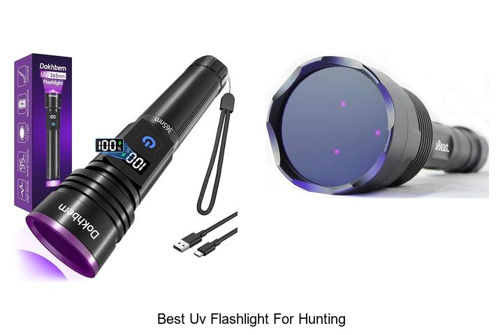 Top 12 Best UV Flashlight for Hunting You Must Have Now