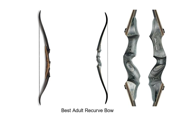 Top 10 Best Adult Recurve Bow That Archers Swear By!