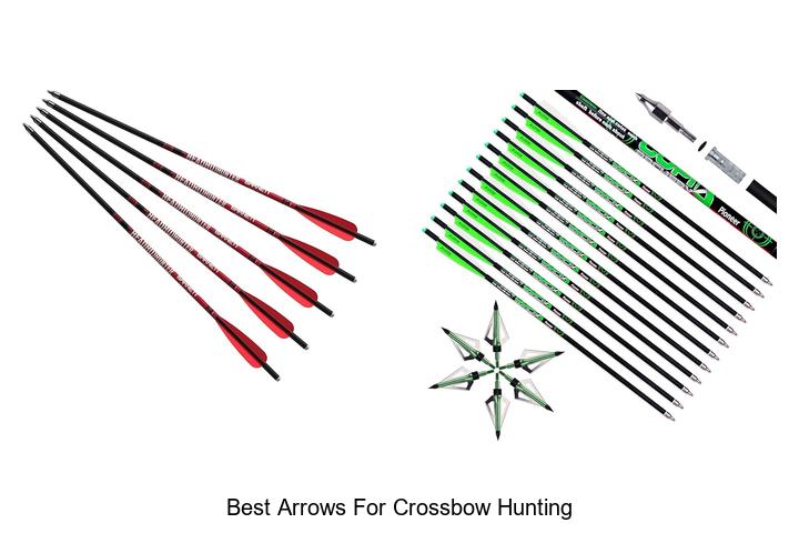 Top 12 Best Arrows For Crossbow Hunting You Must Try Now