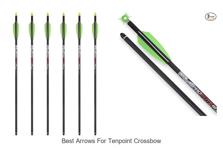 Top 12 Best Arrows For Tenpoint Crossbow That Dominate