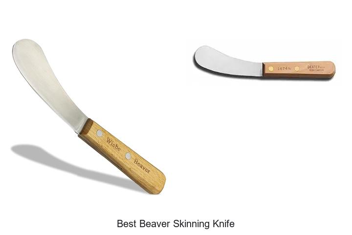 Top 12 Best Beaver Skinning Knife You Can’t Miss Today