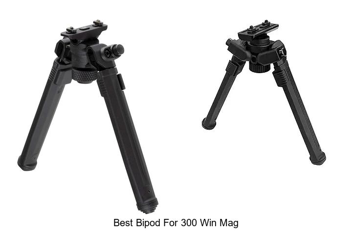 Top 10 Best Bipod for 300 Win Mag That Will Blow Your Mind