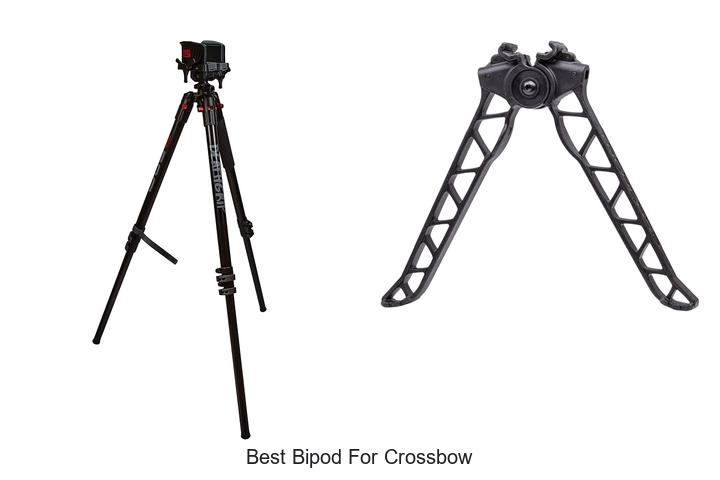 Top 10 Best Bipod For Crossbow You Can’t Miss Today